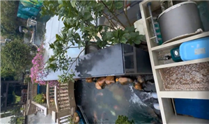 Fish Pond Microfiltration.png