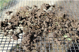 soil sieve mesh1.jpg